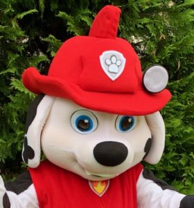 Paw Patrol Party Characters