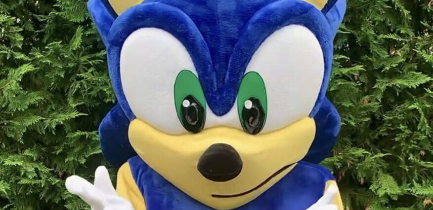 Hire Sonic for a Birthday Party